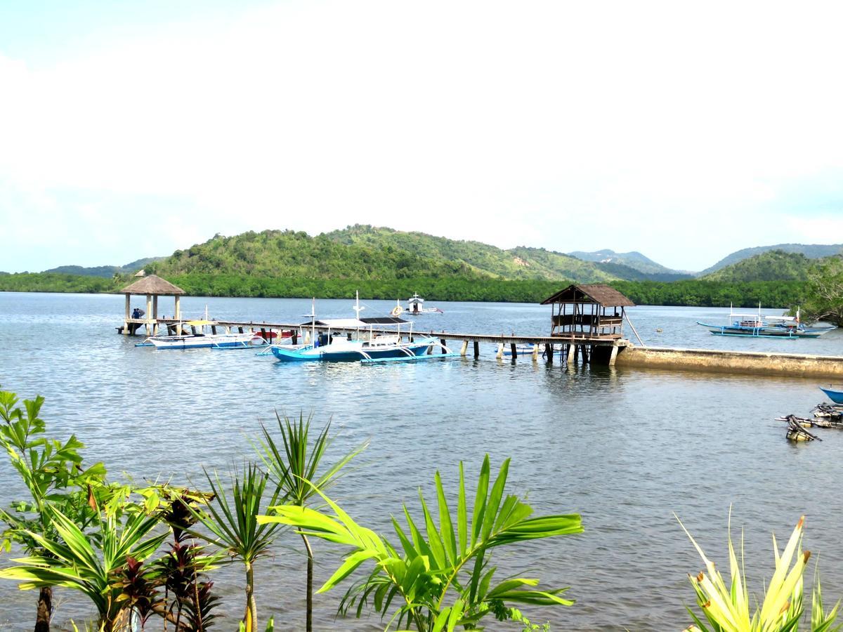 Bella Louise Lodging House Bar And Resto Busuanga Kültér fotó
