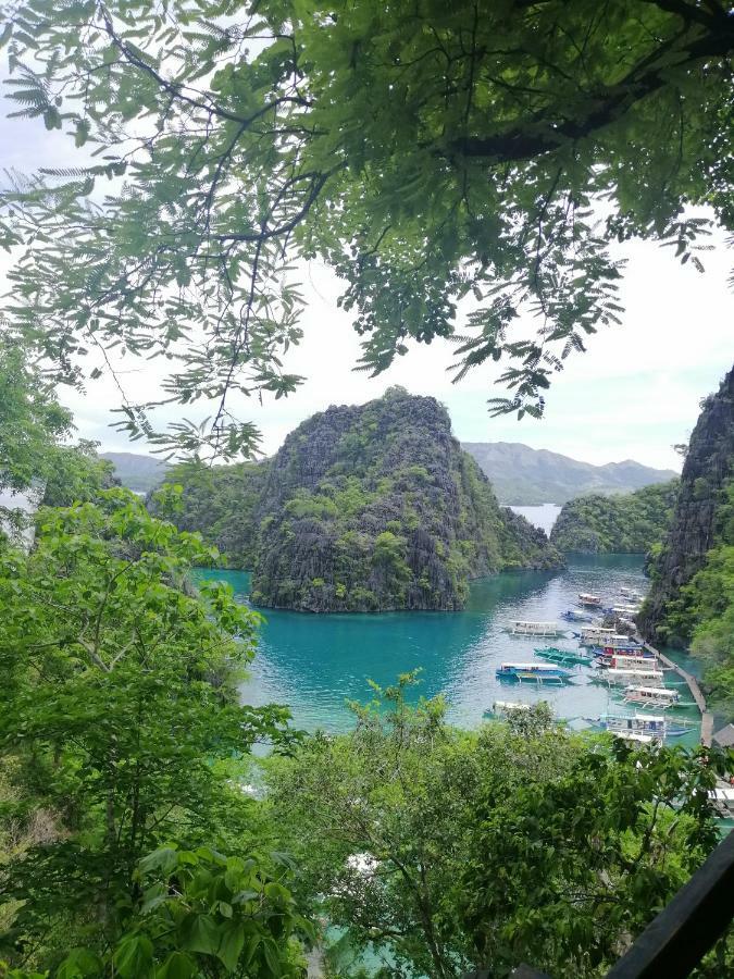 Bella Louise Lodging House Bar And Resto Busuanga Kültér fotó